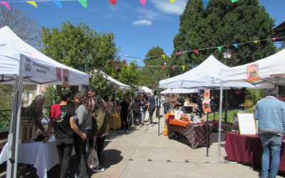Azuébar Shines at the Taste & Create Festival: A Tribute to Alto Palancia